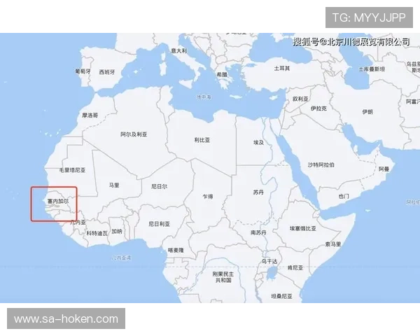 世界杯塞内加尔对阵伊拉克比赛球员名单详细分析与阵容预测